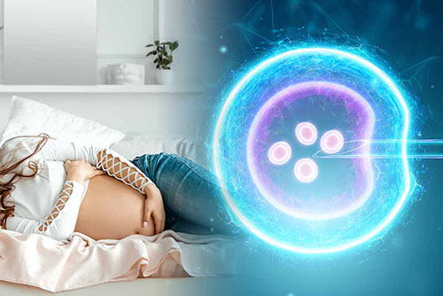 طب الغدد الصماء التناسلية والعقم
