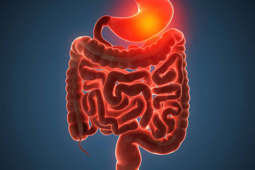 Gastroenterology