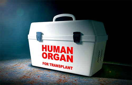What are the Types of Organ Transplantation?
