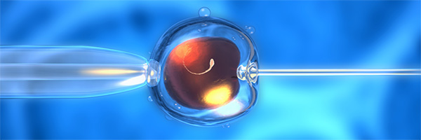 IVF (in vitro fertilization) and Fertilization Stage