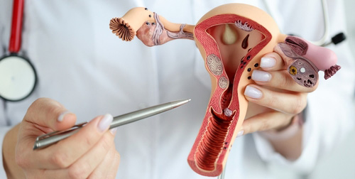 Vaginal Aesthetic Vaginoplasty in Turkey