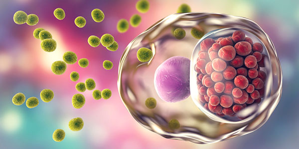 Drugs used for IVF (in vitro fertilization) and Emrbyo Transfer